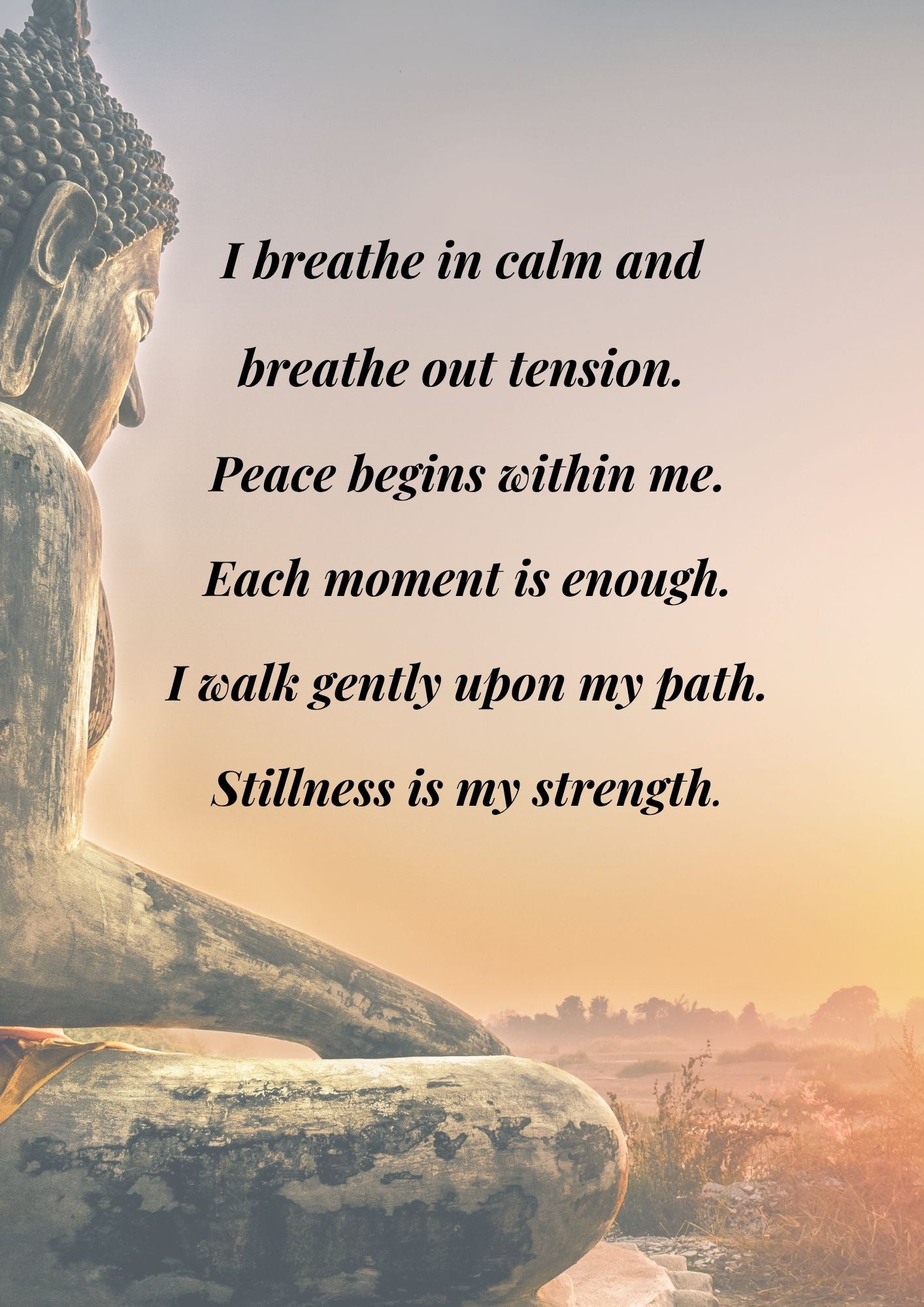 9.01 Buddha Affirmation Wall Art Set, Mindfulness Prints, Meditation Quotes, Spiritual Calm Decor, Zen Printable Art, Peaceful Home Decor Bundle